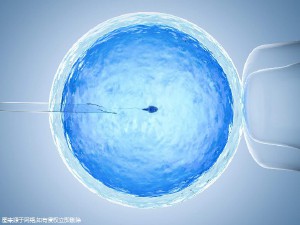 高齡二胎